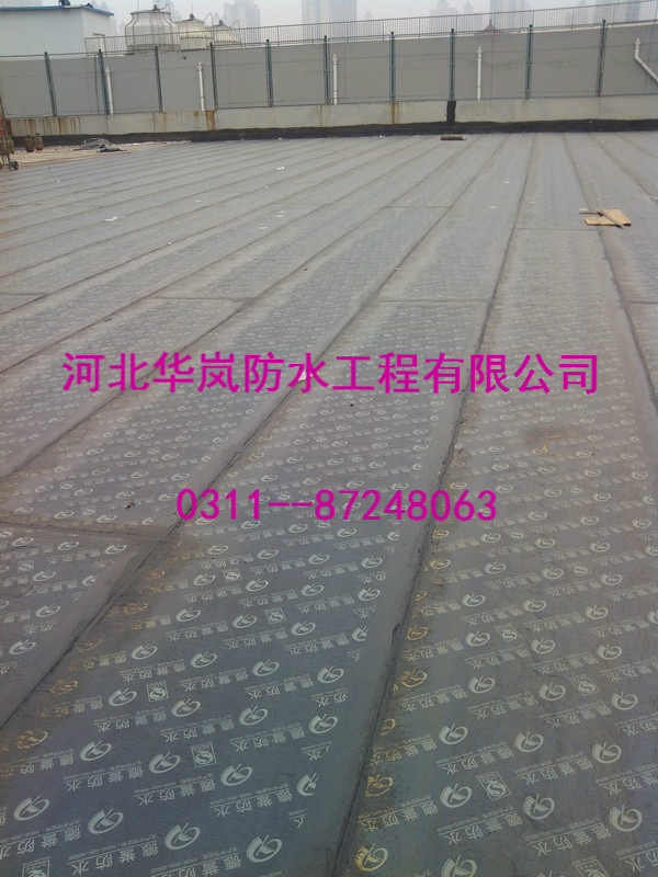 建筑网投平台工程的重要性组成部分不受水侵蚀分项工程