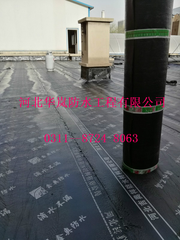 IMG_20180410_165003.jpg